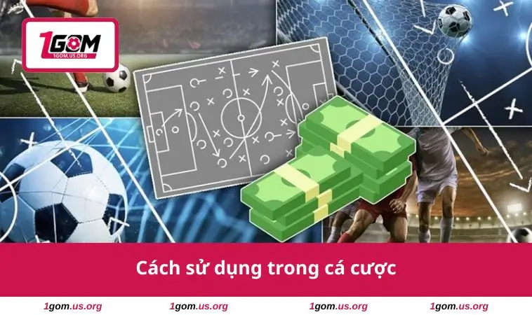 Odds Là Gì? Mẹo Sử Dụng Odds Để Tối Đa Lợi Nhuận Khi Cược 3 Cách sử dụng trong cá cược