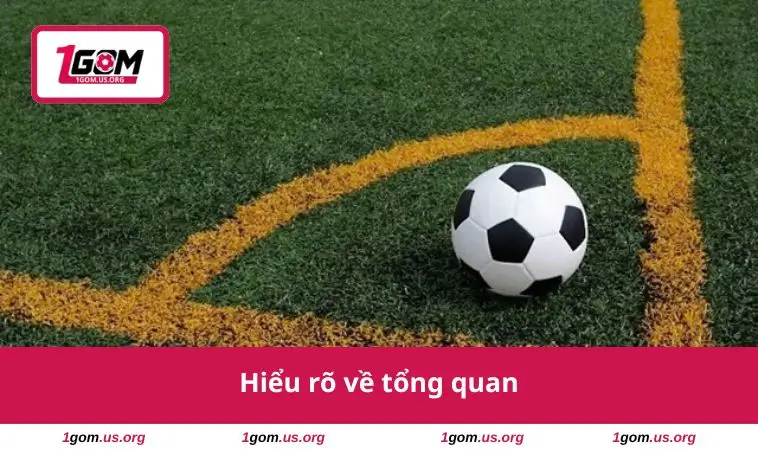 Hiểu rõ về tổng quan