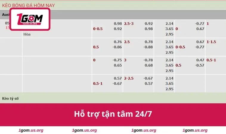 Hỗ trợ tận tâm 24/7