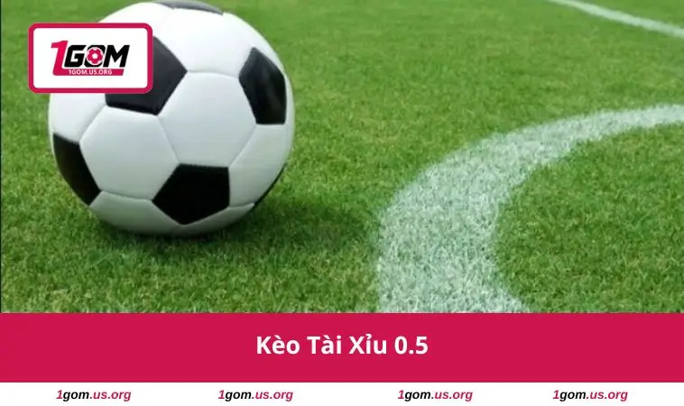 Kèo Tài Xỉu 0.5