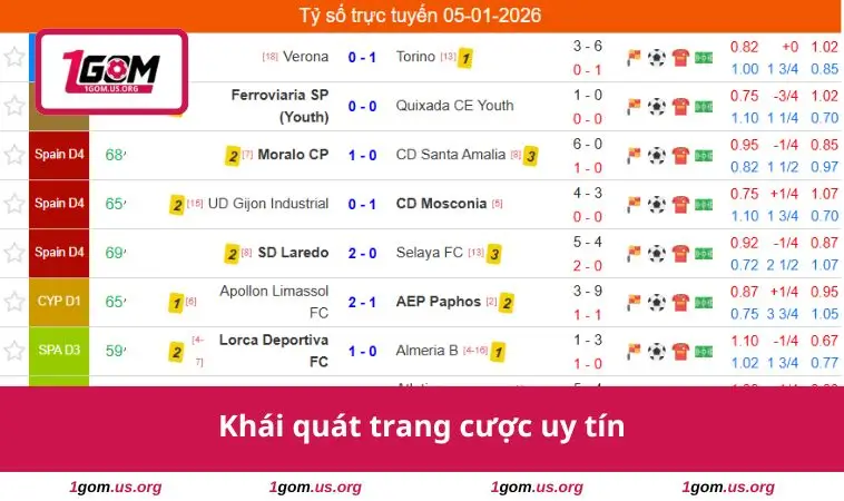 Giới Thiệu 1 Khái quát trang cược uy tín